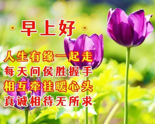 6月15日早晨问候语珍惜缘份每天问好