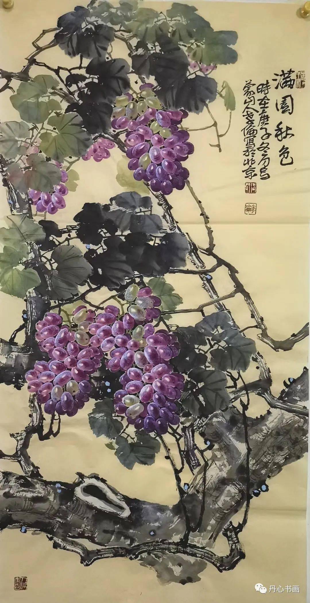 格调清雅,着墨秀润|重彩葡萄领军人张孝伦