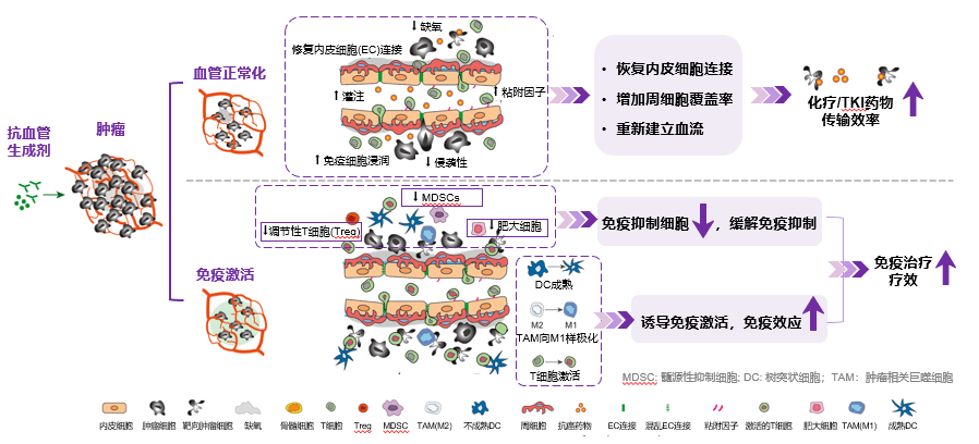 抗血管生成治療改善腫瘤微環境肝轉移患者應用聯合治療顯著獲益