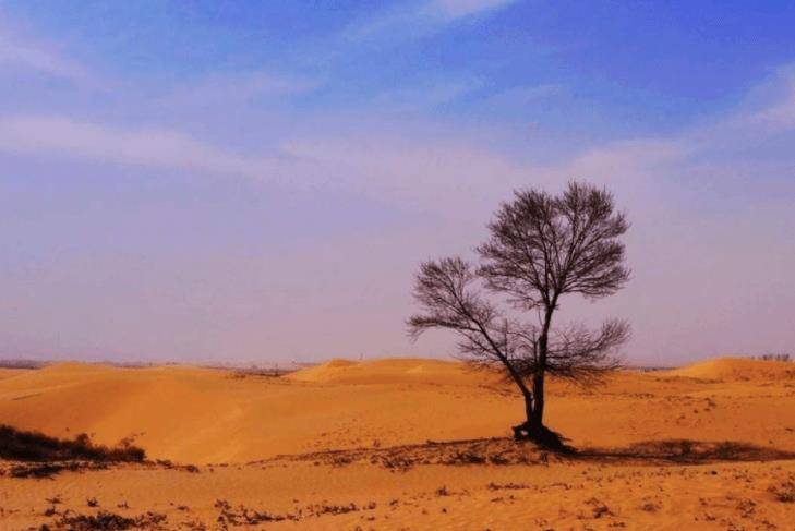 为什么缺水的沙漠，如果连降24小时骤雨，当地人会感到烦恼呢？