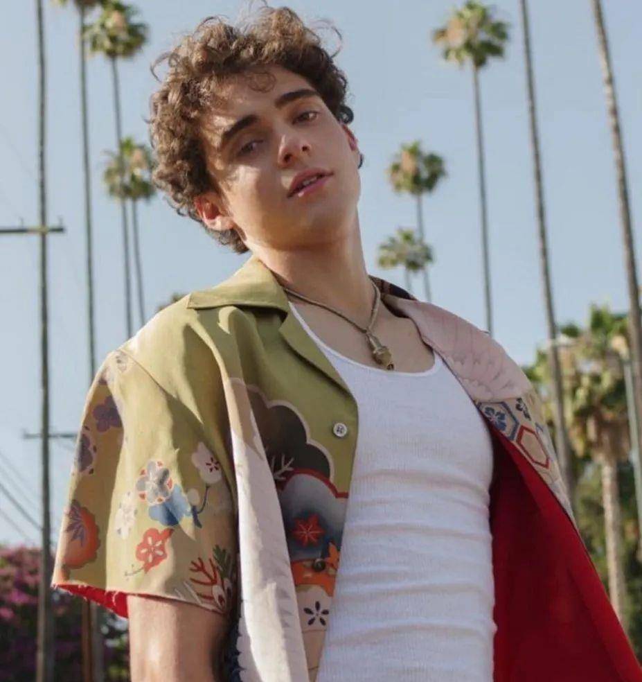 网红迪克西·达梅利奥发布个人出道首张专辑_damelio_dixie_bassett