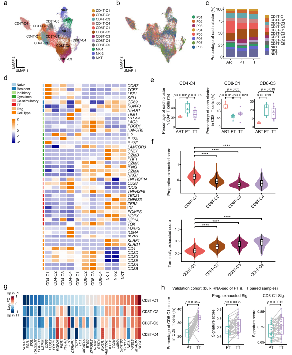 项目文章丨单细胞转录组测序揭示肾癌和癌栓肿瘤微环境差异_血栓_sc