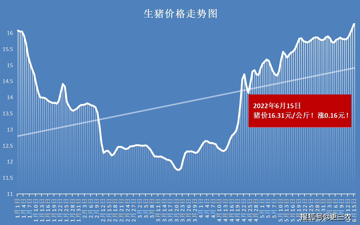 31元/公斤,豬價大漲0.16元,市場呈現連漲創新高的表現,國內南北