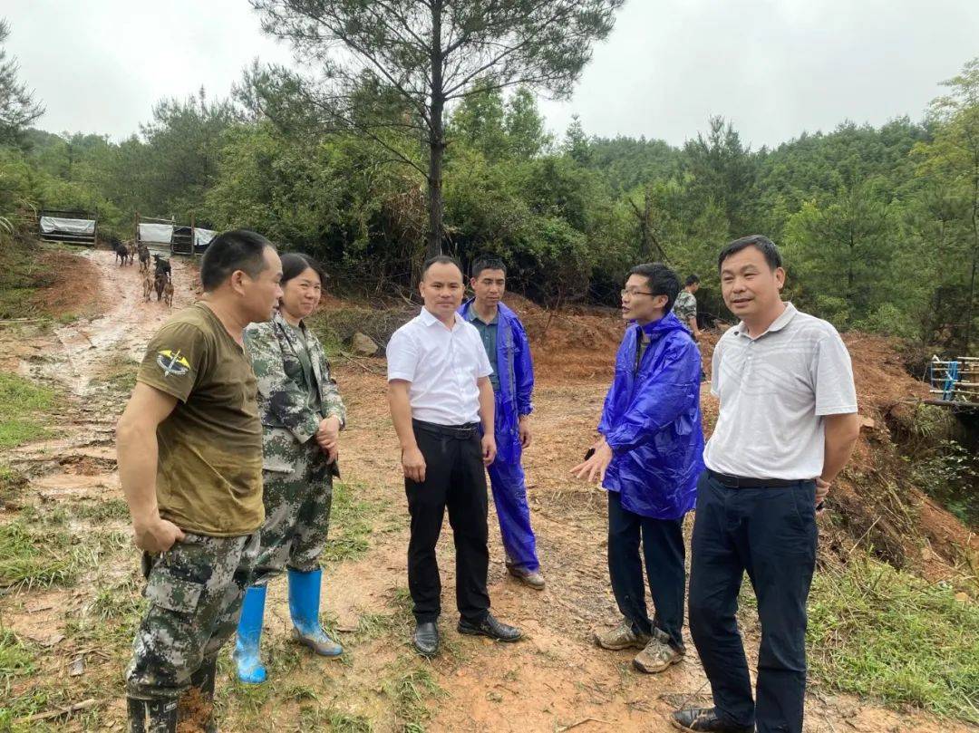 江西赣州定南县老城镇闻汛而动逆流而上