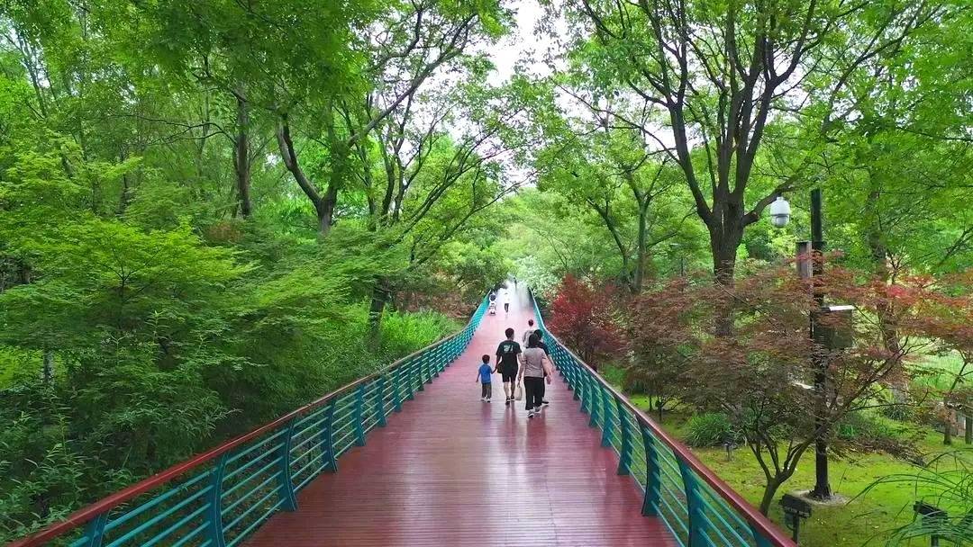 双碳行动为宝山发展增添绿色动能