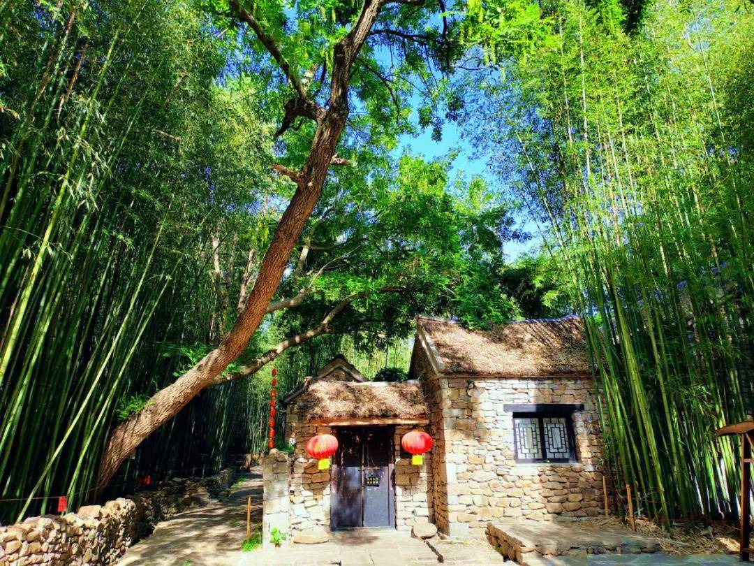 竹泉村·夏日-竹韵泉鸣_竹林_小院_石墙