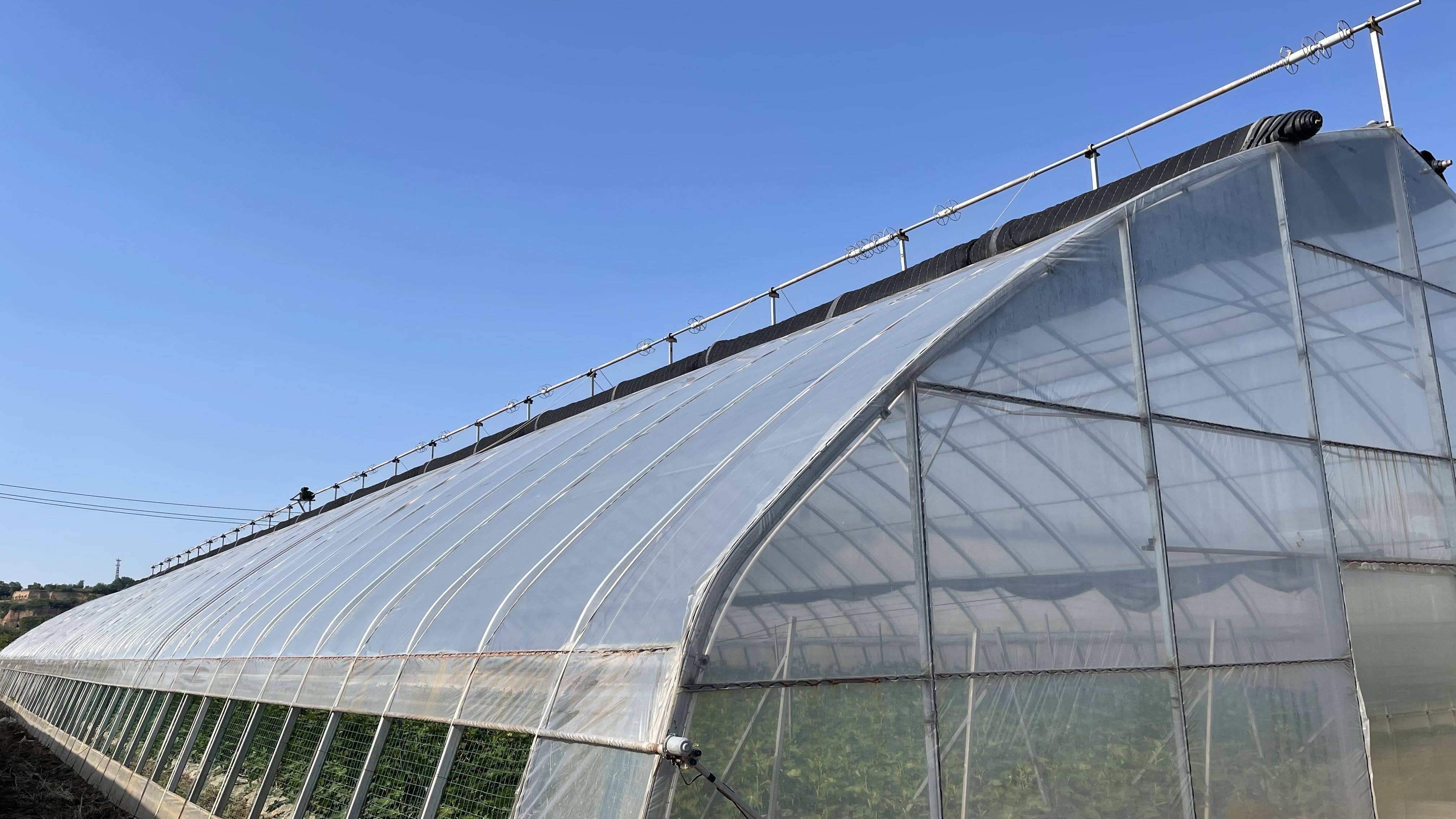 大棚棚膜管理的窍门有哪些?_温室_作物_设备