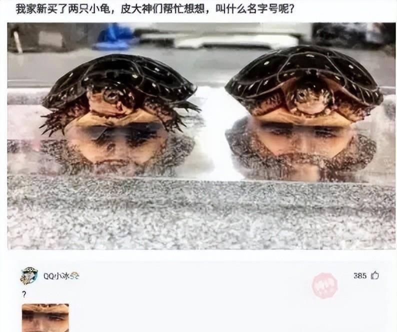 原创
90后女教师与80后男家长聊天记录曝光!都要笑喷了,哈哈哈