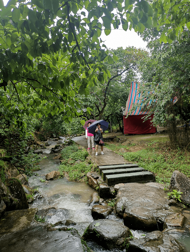 刘邓陶图片