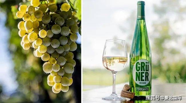 15种酿白葡萄酒品种及酒香,你知道哪些?_酿造_香气_法国
