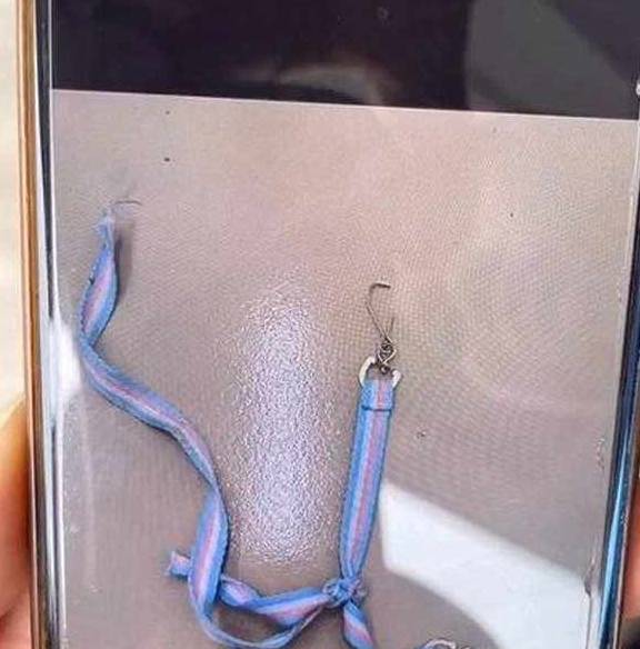 广西15岁初三女学霸回校途中失联,2天后发现上吊身亡_周蜜_调查_灵山