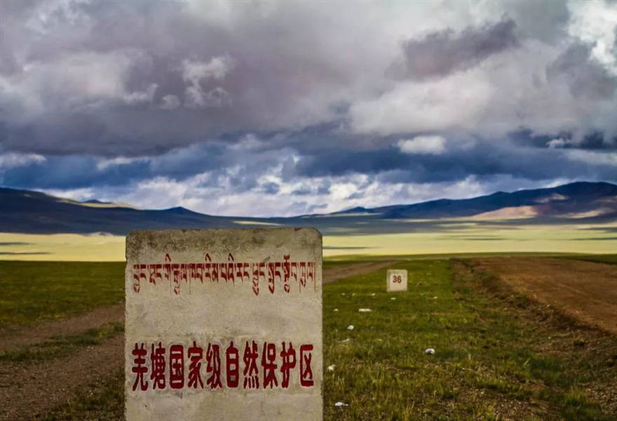 九死一生的“人类禁区”，西藏无人区到底有什么？