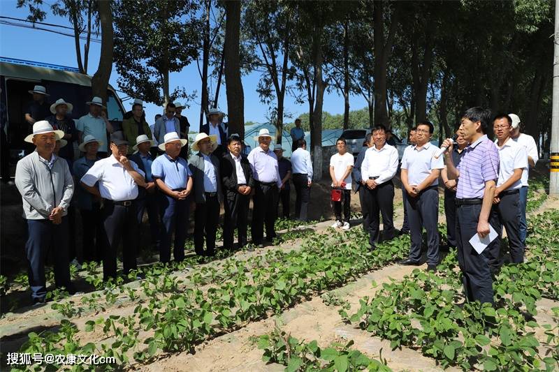 副主任付会荣,泾川县农技中心主任张明科,凉州区农技中心副主任张正鹏