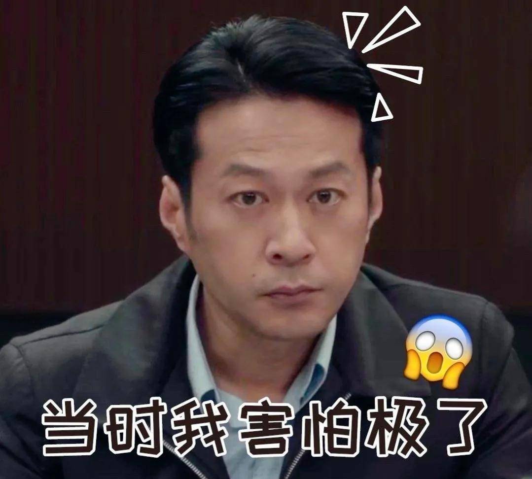 也被大伙儿做成了表情图,他就是"两面区委书记"董耀的饰演者——谭凯