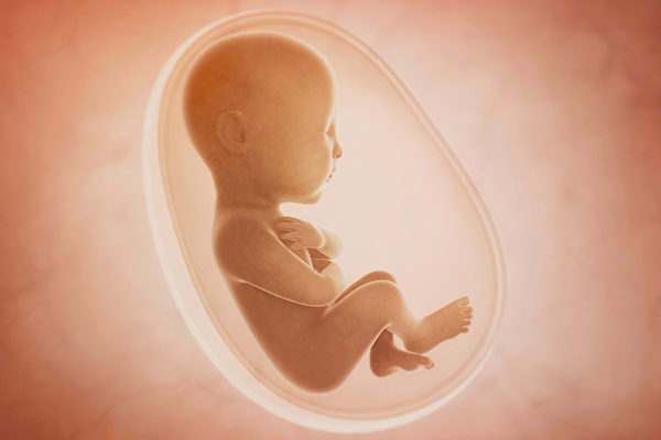 无胎心是不是小蝌蚪质量差导致的？
                
                 