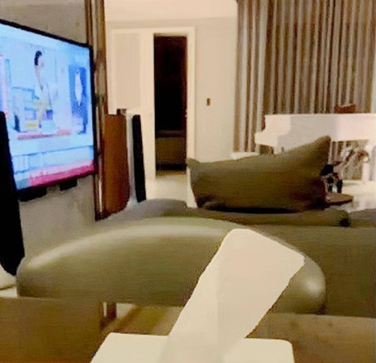 全能贤妻!林心如宅家自种香料,打算露台改菜圃曝光奢华豪宅