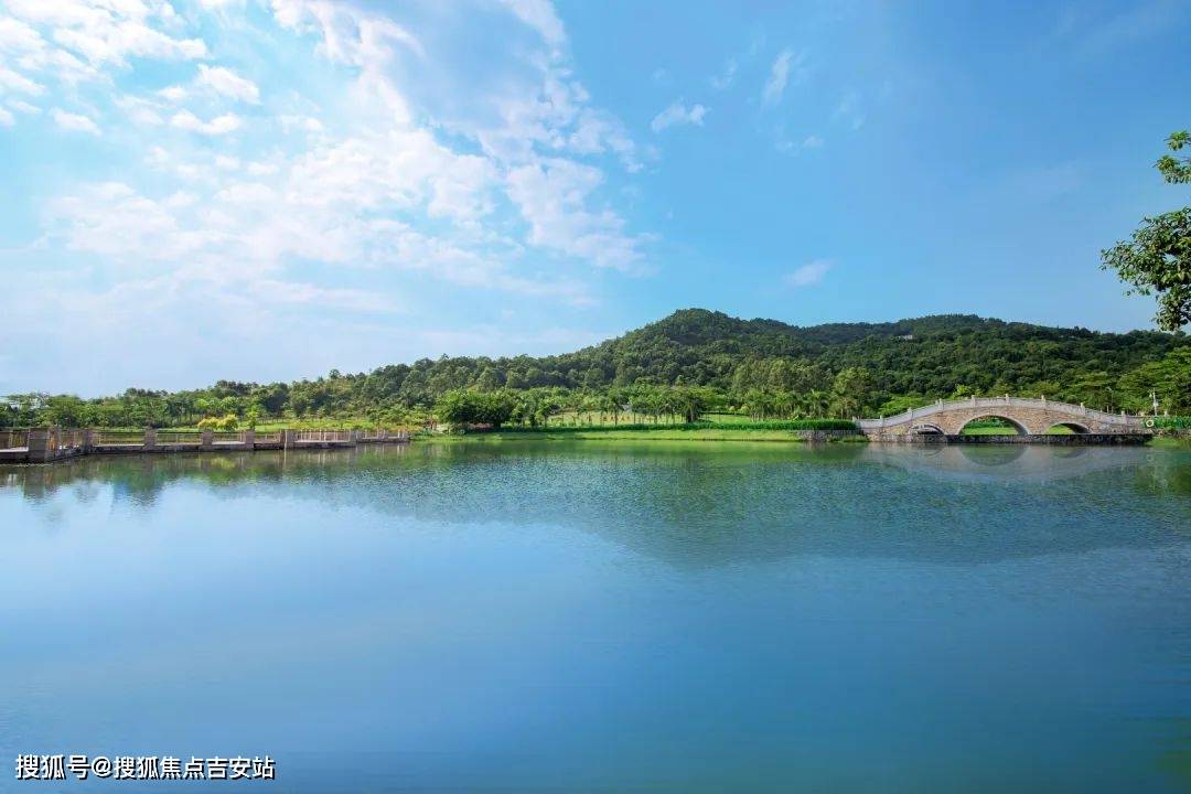 大公園匯聚項目旁板嶂嶺森林公園,兒童公園聚龍山公園,紅樹林溼地公園