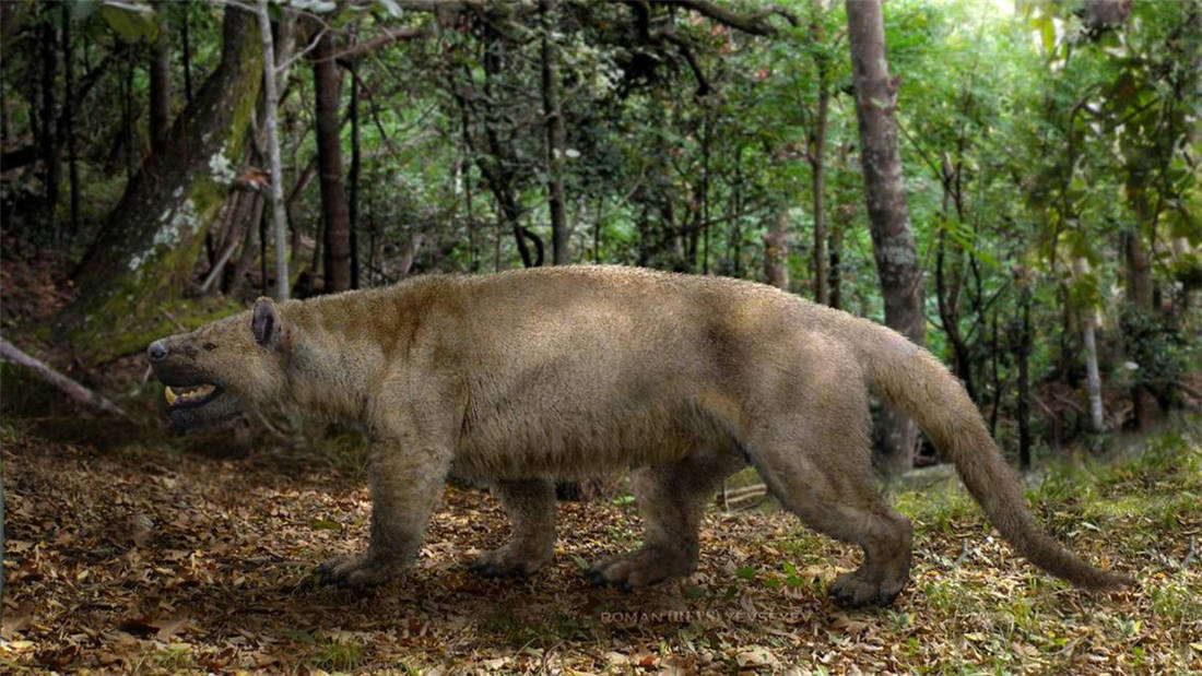 原创蒙古草原曾出现裂肉兽脑袋似棕熊身子像狼捕捉到雷兽撕碎了再吃
