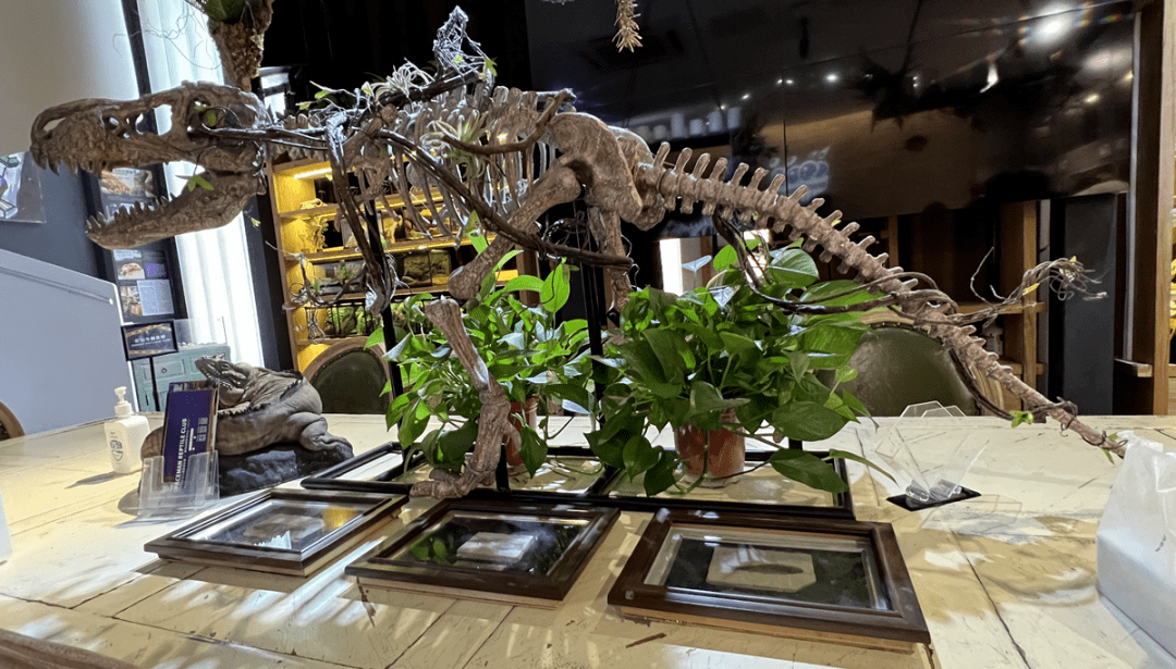 一阳新鲜事——与恐龙亲戚的第一次亲密接触，SpaceMan神奇动物乐园体验