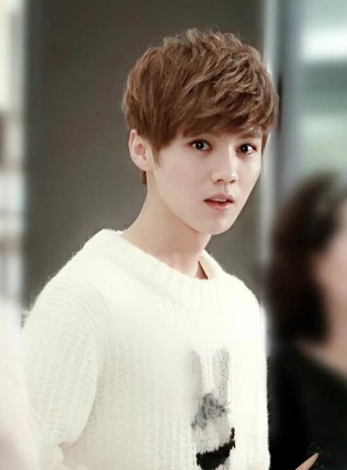 2012年鹿晗刚跟随国外组合出道就得到吹捧, 那会他拥有精致的五官,冷