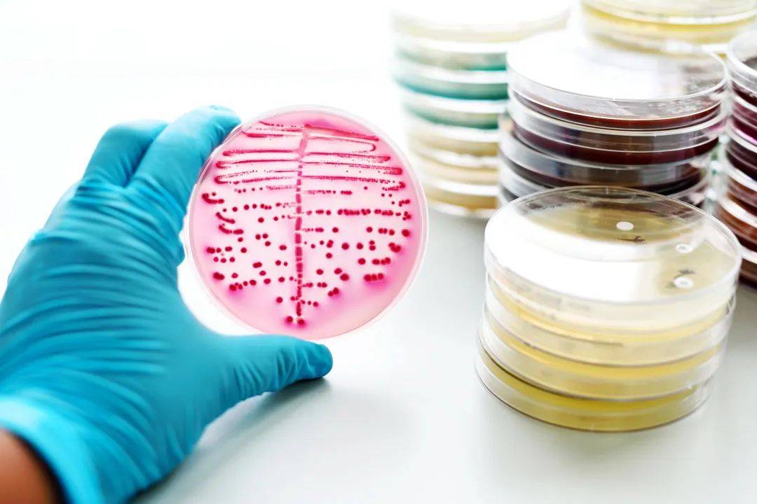 一文详解细菌内毒素检查法_检测_研究_方法