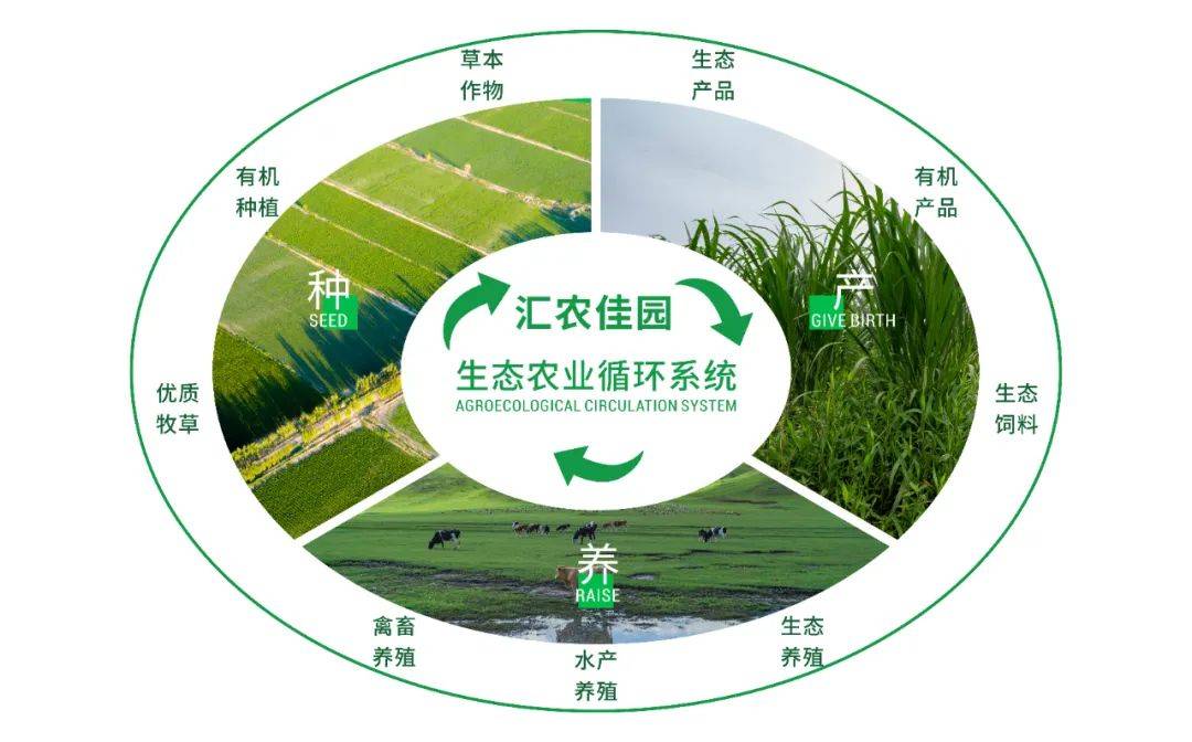 目前,汇农佳园正在绿色生产,加工,流通,消费等环节,加速推进农业农村