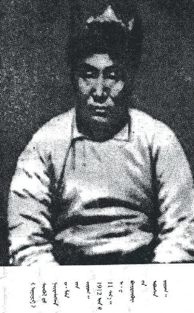 科布多_杨增新_新疆地区