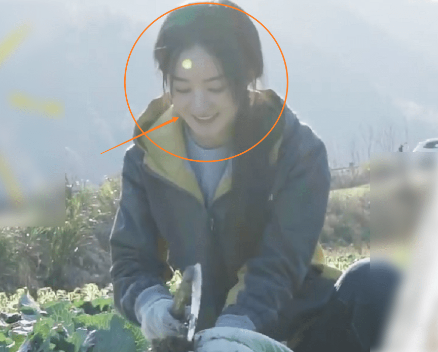 原创赵丽颖去田里干农活分手后的状态成功抢镜是否受影响一目了然