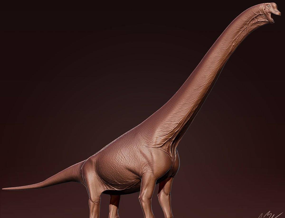 图注:古生物艺术家jacob-baardse制作的腕龙建模,非常科学精美.