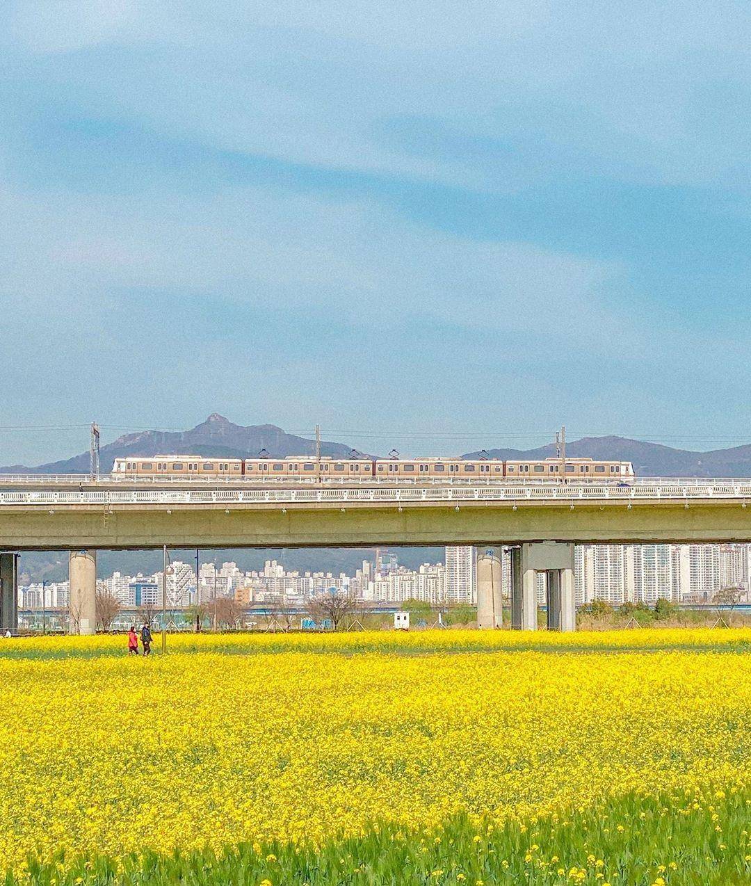 6月25日至6月28日 四大星座事业蒸蒸日上 贵人太爱 吉星高照 财运 生活 金牛座