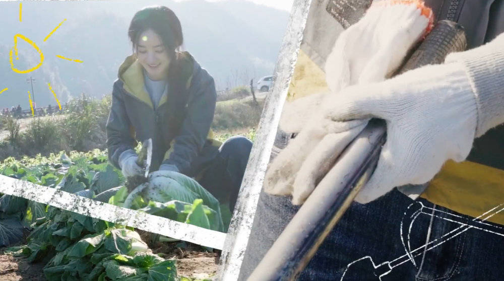 赵丽颖下地干活手法熟练,活脱脱的农村妹子,分手后状态越来越好