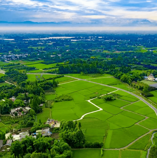 读城地标榜║郫都德源大蒜大蒜行业里的种子选手