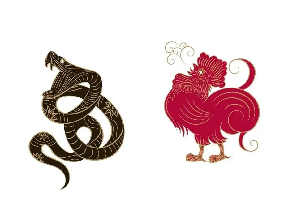 属蛇的和属鸡的在一起会幸福吗?_生活_太太_先生