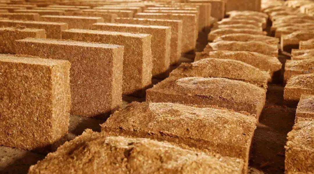 白酒曲与黄酒曲有什么区别