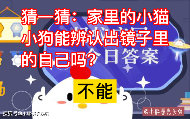 教案写法_教案写作_教案怎么写?