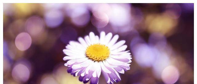 7月3日开始 四大星座金室耀祥光 如蝇逐臭 春暖花开 Chu 财运 事业