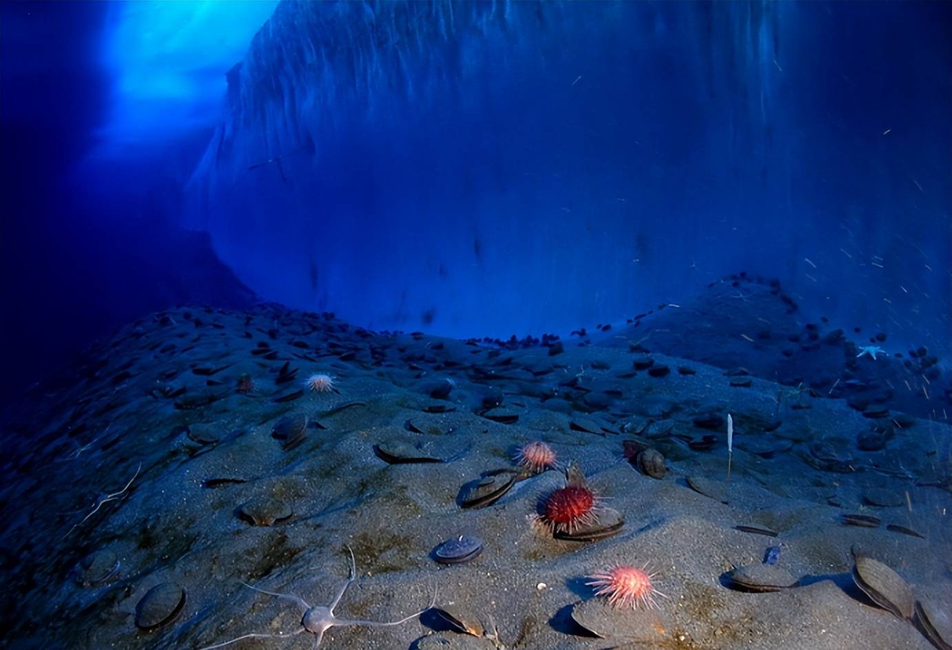 海洋_人类_火山