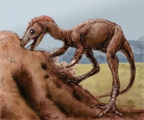阿瓦拉慈龙：外形似鸟的恐龙，体长2米，快速奔跑的恐龙