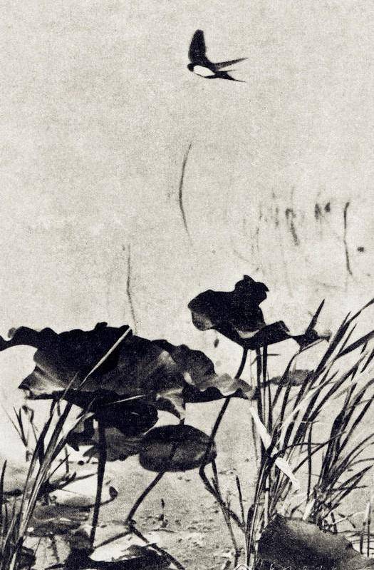 中国摄影大师|张印泉作品_女子_地点_风光