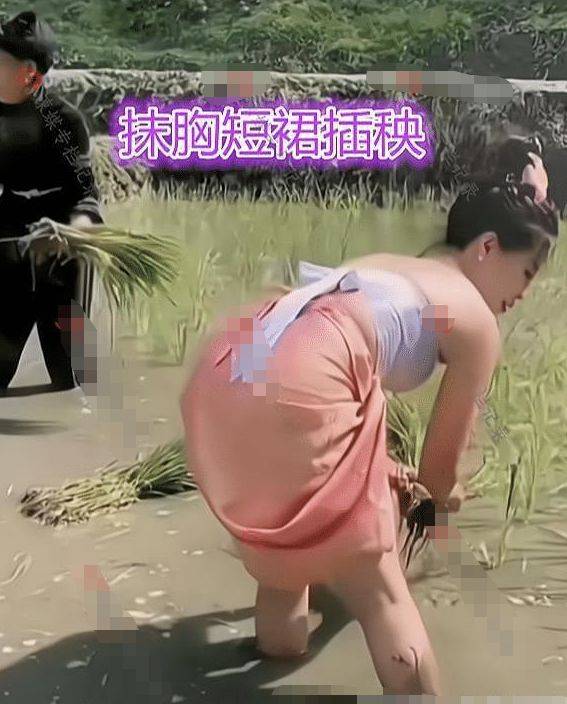 Копаться в огороде со счастливым видом: Новый тренд китайских интернет-знаменитостей