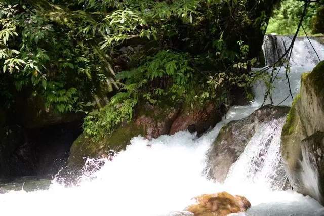 「西岭大飞水」飞泉流瀑，清幽秘境，过一个25℃的夏天