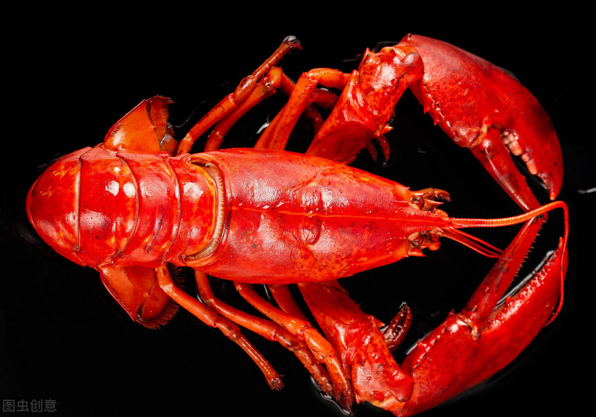 额角侧缘有刺,腹面有时也有刺.