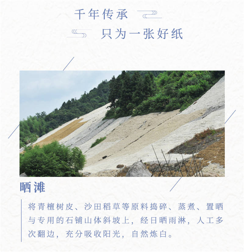 妙趣横生话宣纸～～檀力_泾县_中国_国画