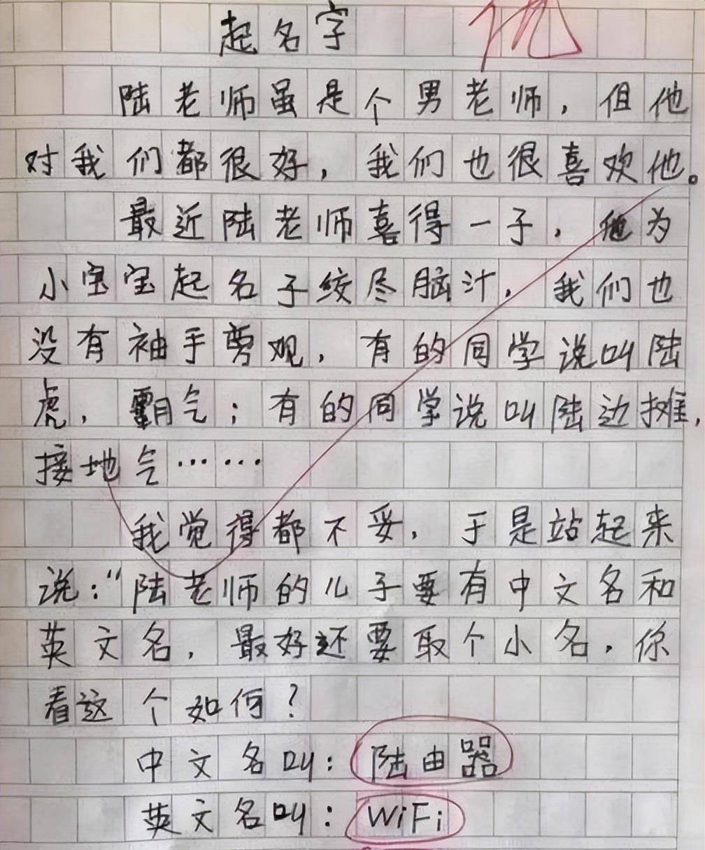 小学生作文《秘密》走红，一字一句说的很有理，老师：你妈知道吗
