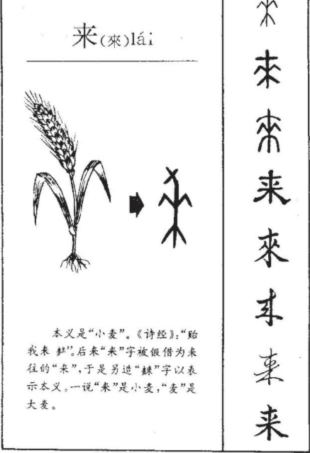 小麦中国传播之谜:起源于西亚,为何却首先传到山东?_手机搜狐网