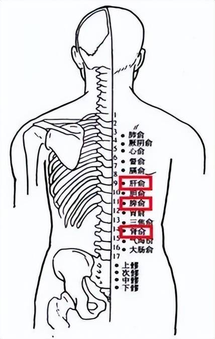 骨科