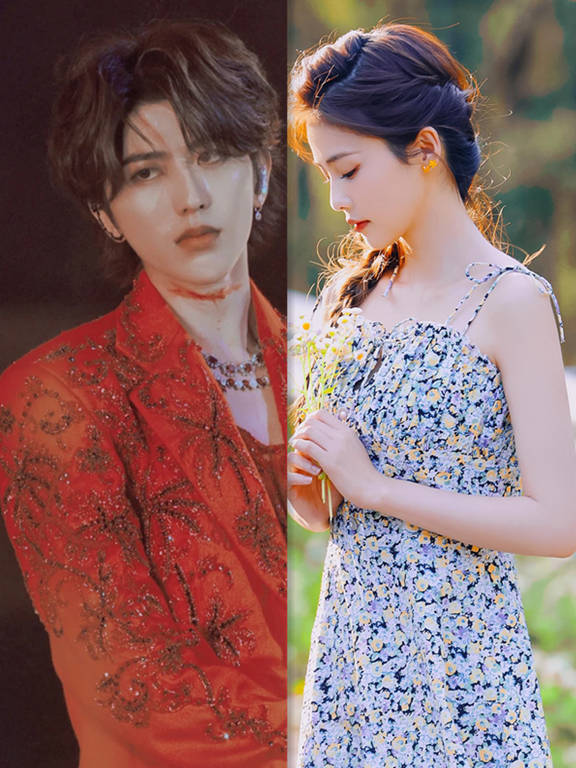 蔡徐坤白鹿有没有可能占卜