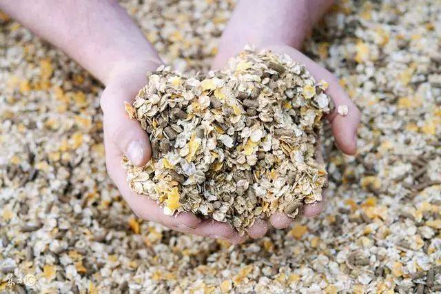 夏季高温饲料霉变九个方法送给你