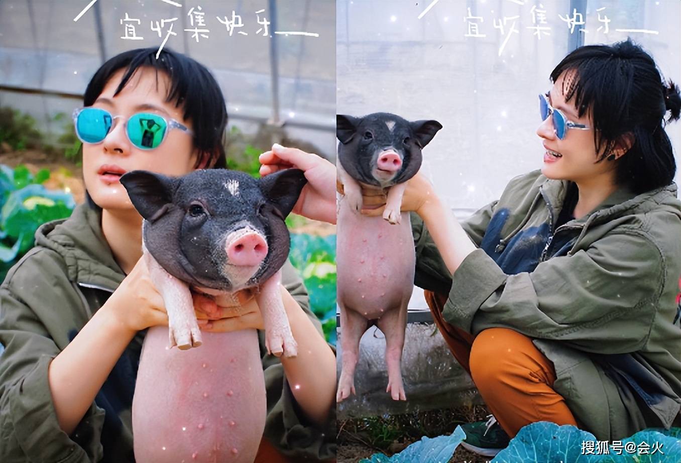 孙俪菜地里兴奋抓猪!手握猪脖子表情夸张