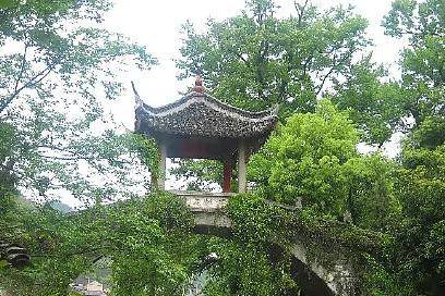 百年历史，名木古树！浙江这一古村，幽邃如洞，已有600年历史了
